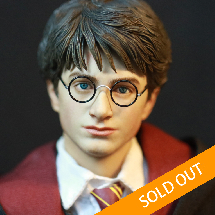 HARRY POTTER (TEENAGE VER.)